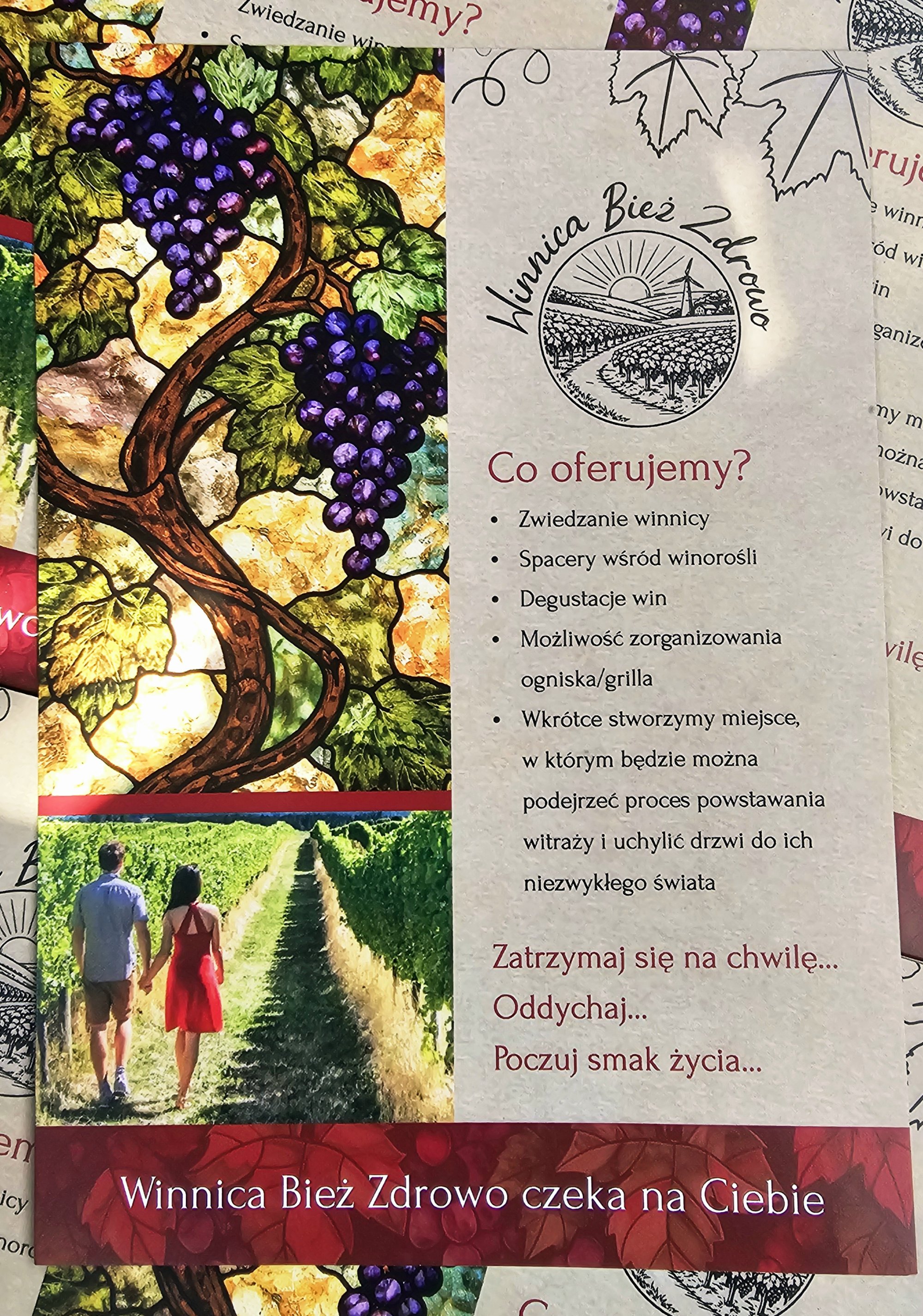 Winnica Bież Zdrowo — galeria, zdjęcie 1