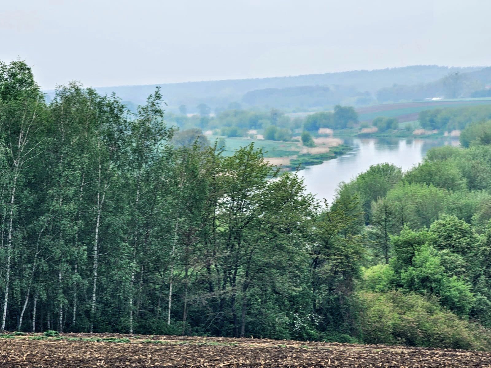 Winnica Bież Zdrowo — galeria, zdjęcie 36