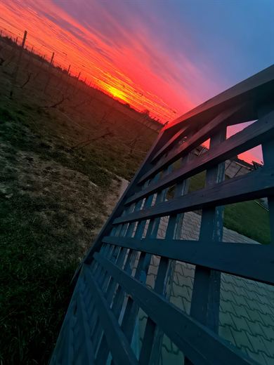 Winnica Bież Zdrowo — galeria, zdjęcie 28