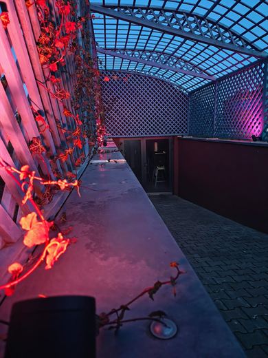 Winnica Bież Zdrowo — galeria, zdjęcie 27