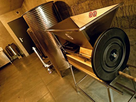 Winnica Bież Zdrowo — galeria, zdjęcie 22