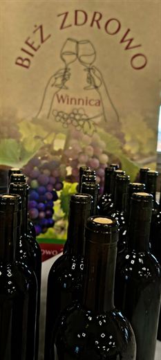 Winnica Bież Zdrowo — galeria, zdjęcie 13