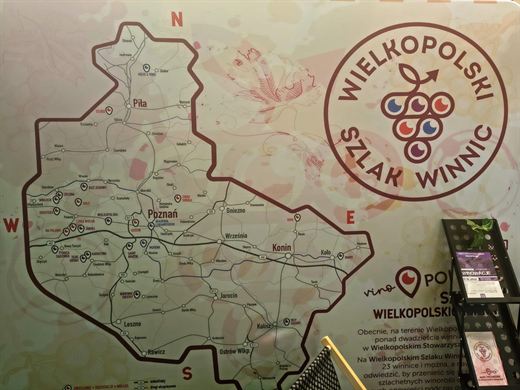 Winnica Bież Zdrowo — galeria, zdjęcie 34