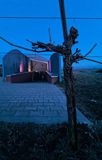 Winnica Bież Zdrowo — galeria, zdjęcie 26