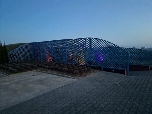 Winnica Bież Zdrowo — galeria, zdjęcie 25